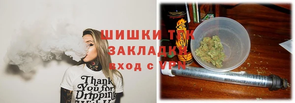 СК Медвежьегорск