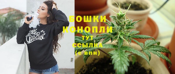 СК Медвежьегорск