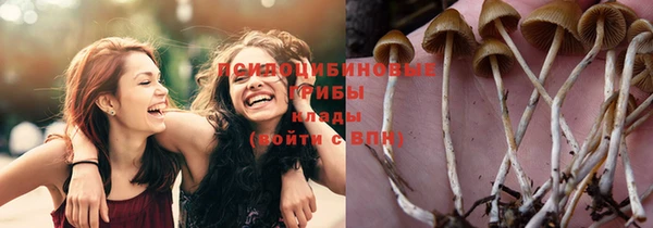 СК Медвежьегорск